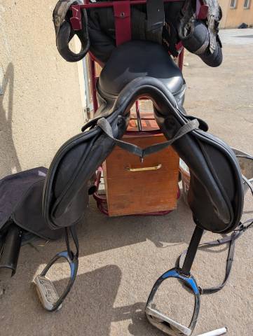 Sella mista Amerigo  17" - 2023