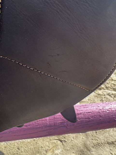 Sella da salto ostacoli  Flex on 17" - 2022