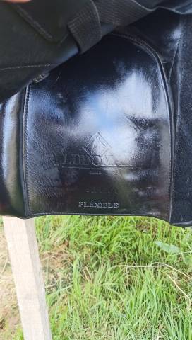 Sella da TREC Ludomar Alexa 17.5" - 2019