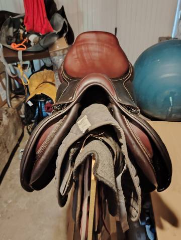 Sella mista CWD  17" - 2013