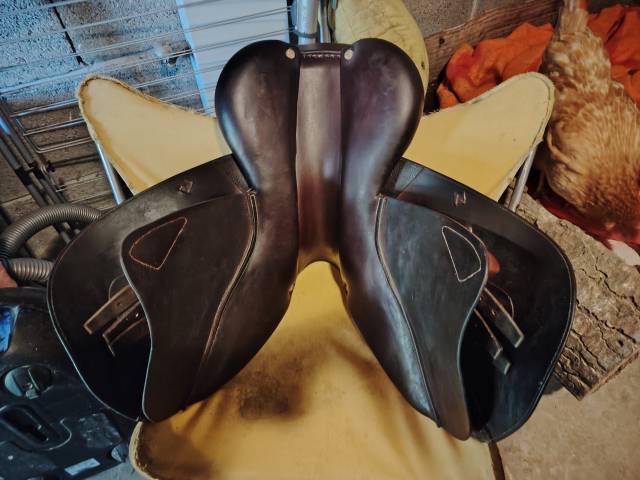 Sella mista CWD  17" - 2013