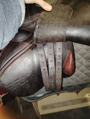 Sella mista CWD  17" - 2013