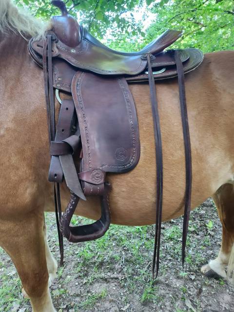Sella western Continental  17.5" - 2016