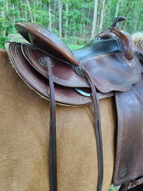 Sella western Continental  17.5" - 2016