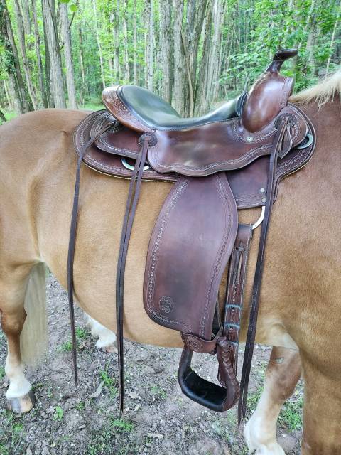 Sella western Continental  17.5" - 2016