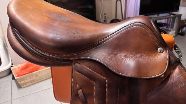 Sella da salto ostacoli Renaissance selle plate  17.5" - 2020