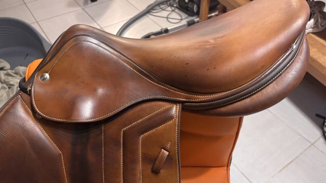 Sella da salto ostacoli Renaissance selle plate  17.5" - 2020