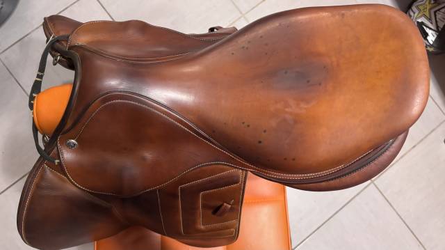 Sella da salto ostacoli Renaissance selle plate  17.5" - 2020