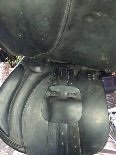 Sella da salto ostacoli Ikonic  17.5" - 2015