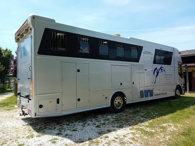 Camion per Cavalli AKX STRALYS IVECO 2012 Occasione