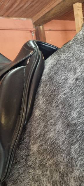 Sella da dressage Equipe  17.5" - 2014