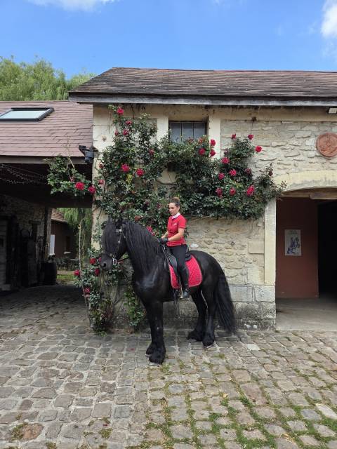 Sella da dressage Equipe  17.5" - 2014