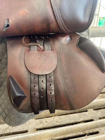 Sella da salto ostacoli Antar&egrave;s  17.5" - 2024