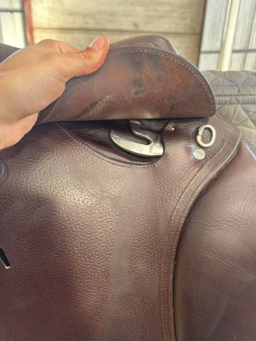 Sella da salto ostacoli Antar&egrave;s  17.5" - 2024