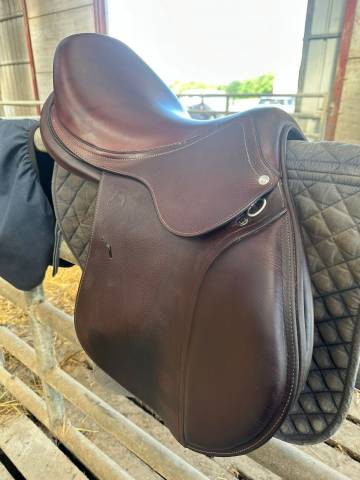 Sella da salto ostacoli Antar&egrave;s  17.5" - 2024