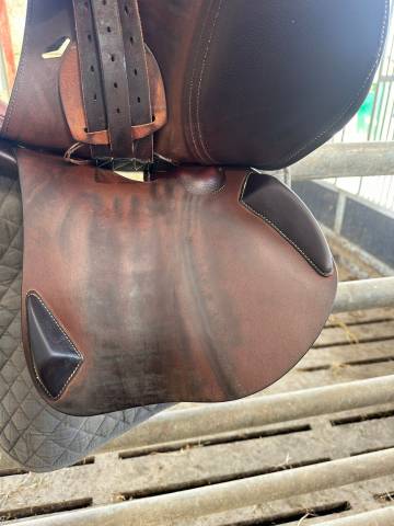 Sella da salto ostacoli Antar&egrave;s  17.5" - 2024