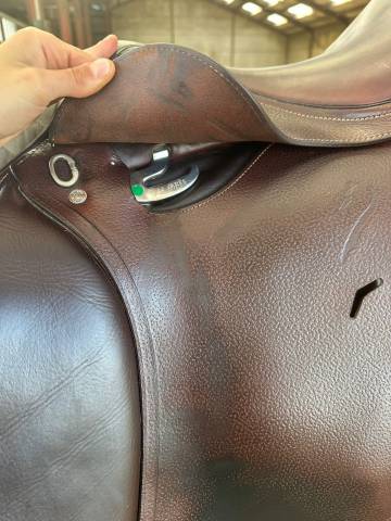 Sella da salto ostacoli Antar&egrave;s  17.5" - 2024