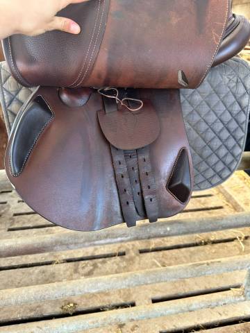 Sella da salto ostacoli Antar&egrave;s  17.5" - 2024