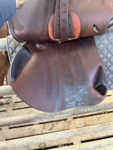 Sella da salto ostacoli Antar&egrave;s  17.5" - 2024