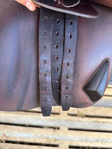 Sella da salto ostacoli Antar&egrave;s  17.5" - 2024