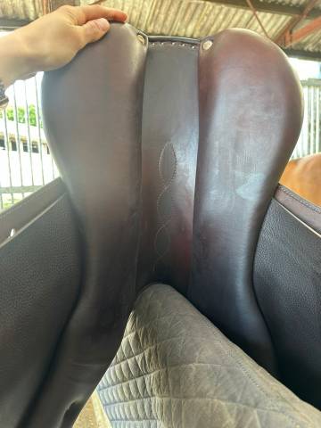 Sella da salto ostacoli Antar&egrave;s  17.5" - 2024