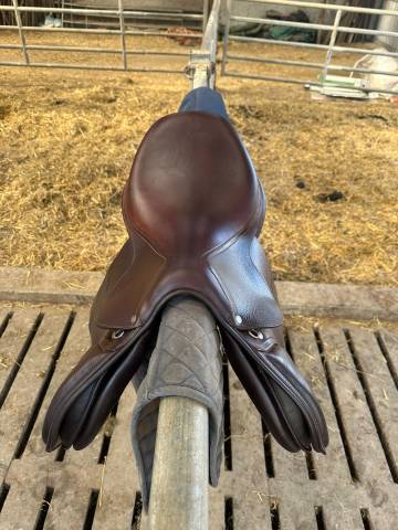 Sella da salto ostacoli Antar&egrave;s  17.5" - 2024