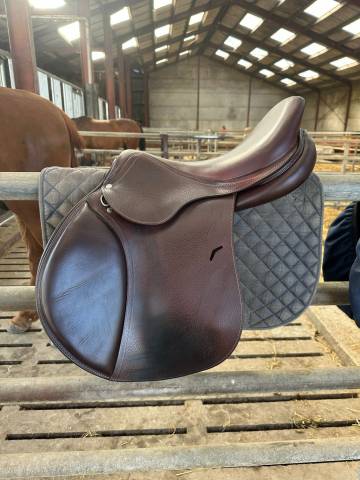 Sella da salto ostacoli Antar&egrave;s  17.5" - 2024