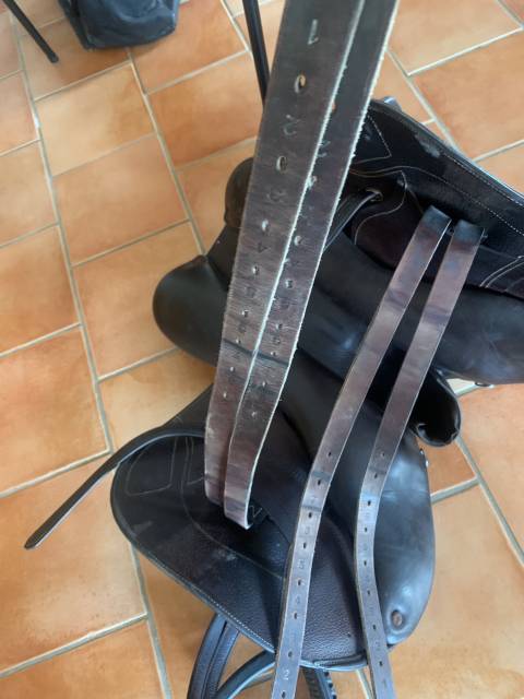 Sella da cross Ikonic  17.5" - 2023