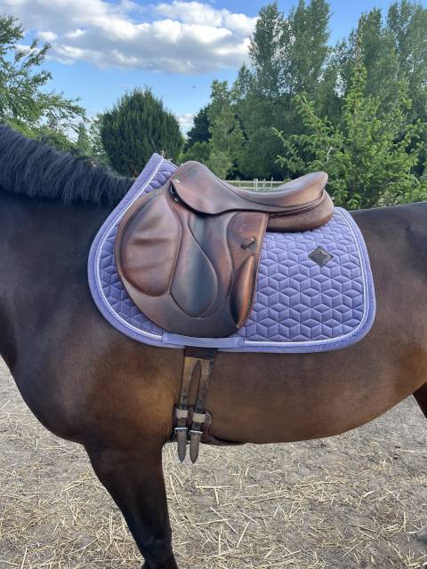 Altra sella Devoucoux Chiberta 17" - 2012