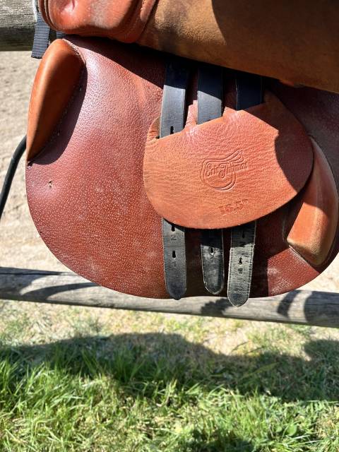 Sella mista Eric Thomas  16.5" - 2015