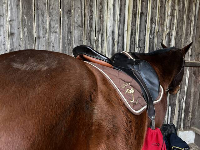 Sella da salto ostacoli Macel Obstacle  18" - 2007