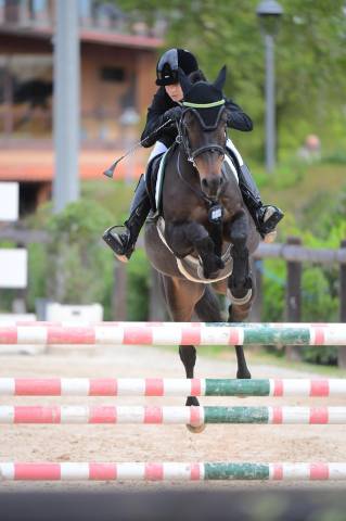 Vendesi pony