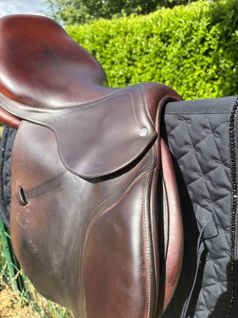 Sella da salto ostacoli CWD  17.5" - 2013