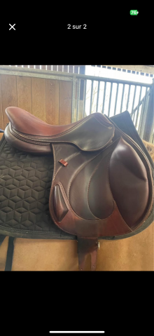 Sella da salto ostacoli Antar&egrave;s  18" - 2022