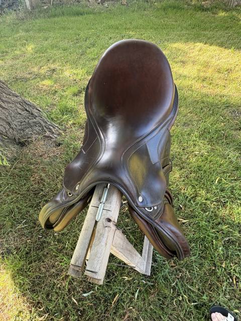 Sella da salto ostacoli Antar&egrave;s  17.5" - 2023