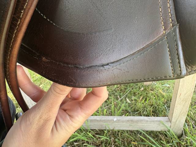 Sella da salto ostacoli Antar&egrave;s  17.5" - 2023