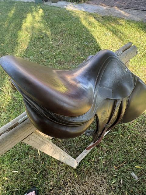 Sella da salto ostacoli Antar&egrave;s  17.5" - 2023