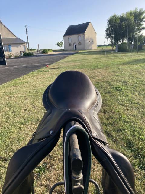 Sella mista Forestier  18" - 2019