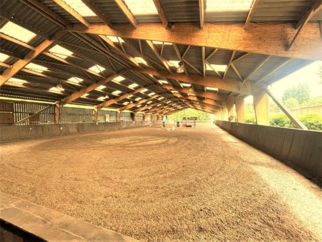 Centro di stagione cavallo In vendita Seine-et-Marne