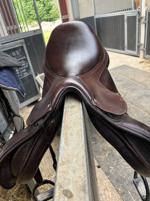 Sella mista Bates  17.5" - 2024