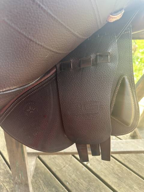 Sella da salto ostacoli CWD  17" - 2023