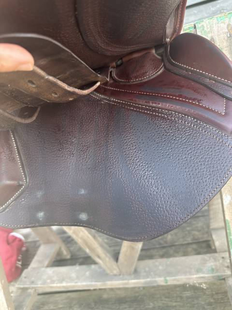 Sella da salto ostacoli CWD  17" - 2023