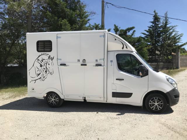 Van per Cavalli Renault  2013 Occasione