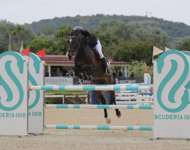 cavalla belga 2010