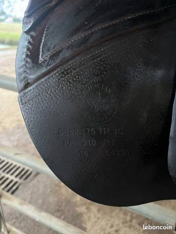 Sella da salto ostacoli CWD  17.5" - 2018