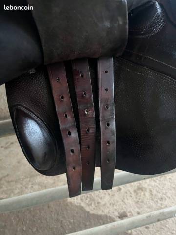 Sella da salto ostacoli CWD  17.5" - 2018