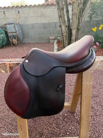 Sella da salto ostacoli CWD  17.5" - 2018