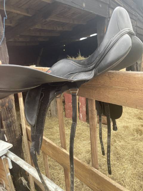 Sella da dressage Thorowgood   17.5" - 2021