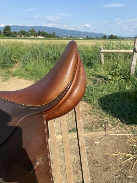 Sella mista Childeric  17" - 2014