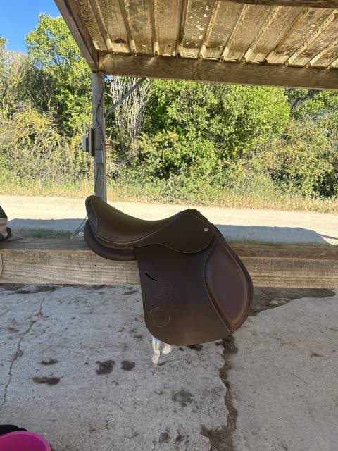 Sella mista Forestier Modèle club  17" - 2024